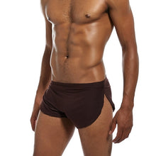 Load image into Gallery viewer, The Silk - Gay Silk Trunks